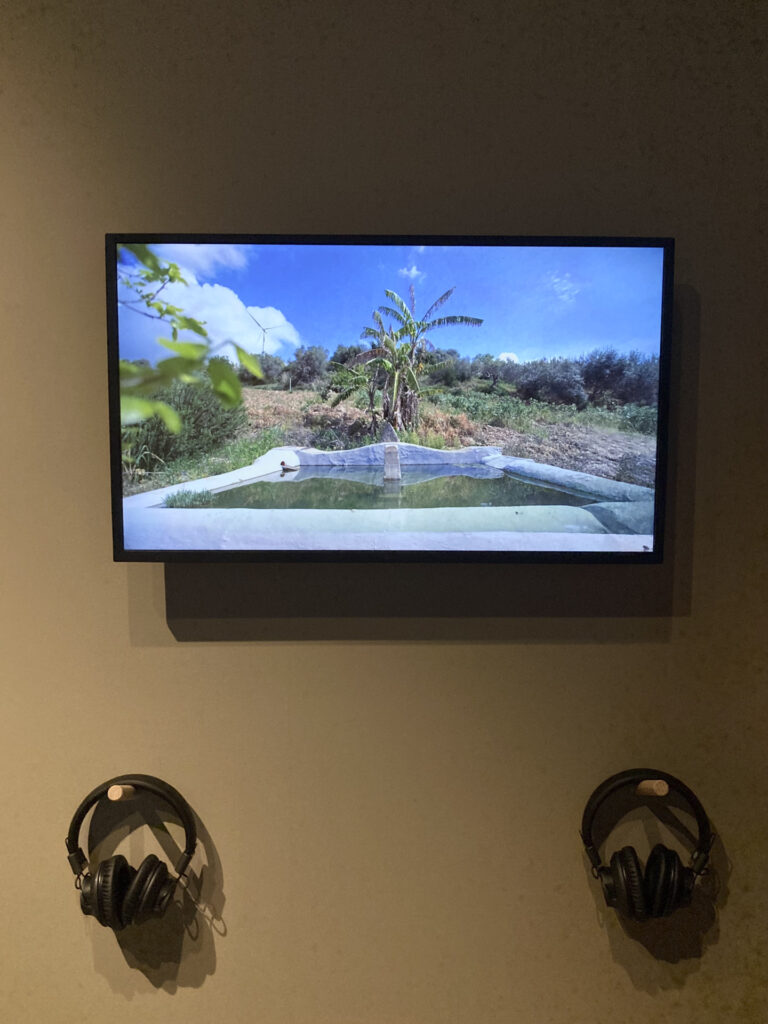 Screening "Arab Fluids"